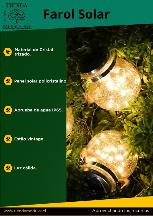 Frasco Decorativo Solar