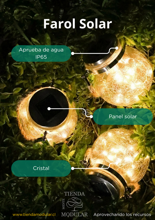 Frasco Decorativo Solar